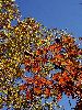 DSC0098_l.JPG
