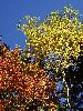 DSC0107_l.JPG