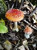 DSC0170_l.JPG