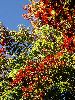 DSC0001_l.JPG