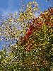 DSC0008_l.JPG