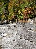 DSC0011_l.JPG
