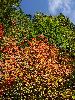 DSC0018_l.JPG