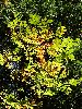 DSC0019_l.JPG