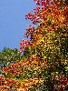 DSC0056_l.JPG