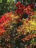 DSC0072_l.JPG