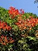 DSC0083_l.JPG