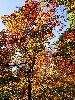 DSC0018_l.JPG