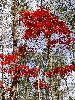 DSC0034_l.JPG