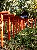 DSC0046_l.JPG