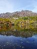 DSC0058_l.JPG