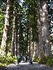 DSC0102_l.JPG