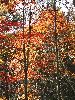 DSC0158_l.JPG