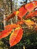 PA272357_l.JPG