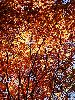 DSC0010_l.JPG