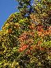 DSC0013_l.JPG