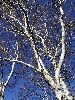 DSC0019_l.JPG