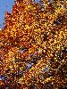 DSC0026_l.JPG