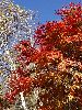 DSC0031_l.JPG