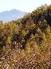 DSC0043_l.JPG