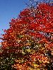 DSC0045_l.JPG