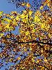 DSC0051_l.JPG