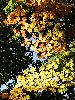 DSC0054_l.JPG