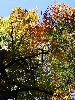 DSC0059_l.JPG