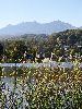 DSC0069_l.JPG