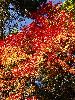 DSC0095_l.JPG