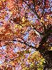 DSC00007_l.JPG
