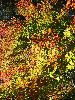 DSC00021_l.JPG
