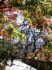 DSC00036_l.JPG