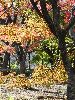 DSC00048_l.JPG