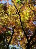 DSC00051_l.JPG