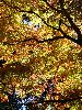 DSC00058_l.JPG
