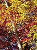 DSC00068_l.JPG