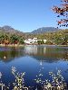 DSC00085_l.JPG