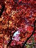 DSC00092_l.JPG