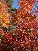 IMG_7613_l.JPG