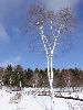 DSC00011_l.JPG