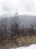 DSC00034_l.JPG