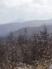 DSC00035_l.JPG