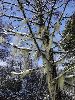DSC00054_l.JPG