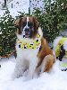 DSC00067_l.JPG