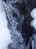 DSC00006_l.JPG