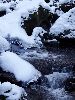 DSC00007_l.JPG