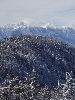 DSC00076_l.JPG