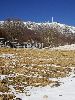 DSC00097_l.JPG