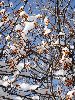 IMG_8853_l.JPG